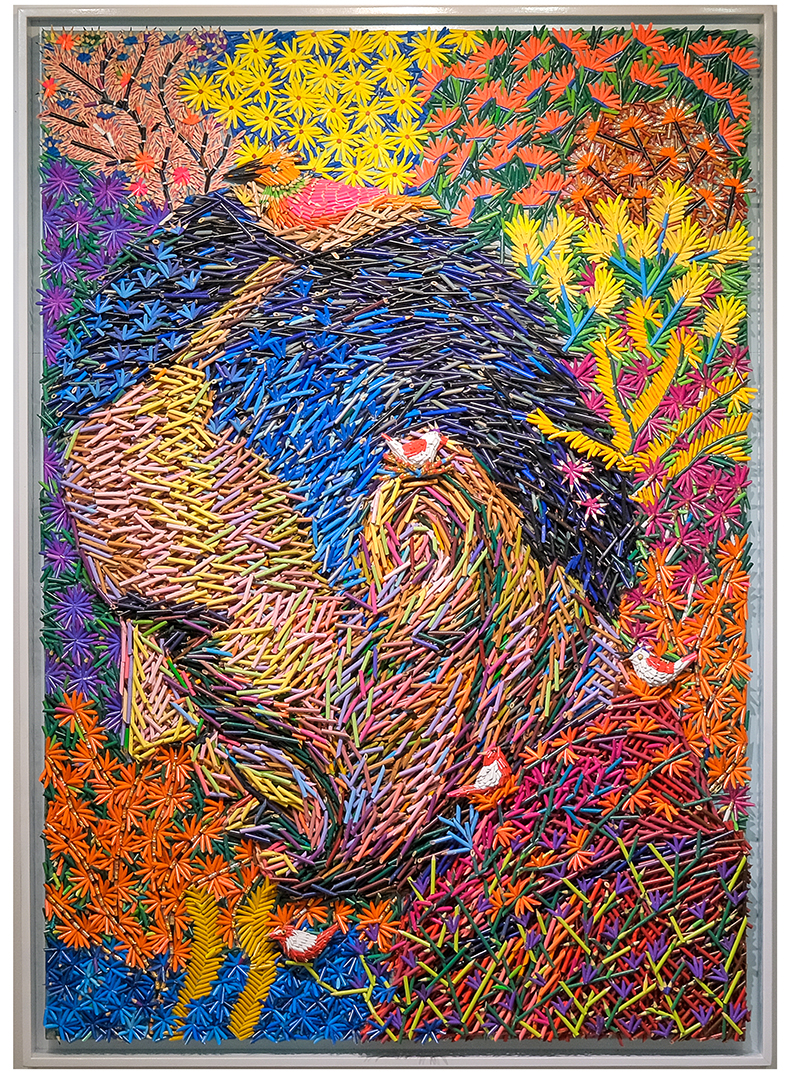 Nest_Color_Pencils_Collage and Drawing_2023
