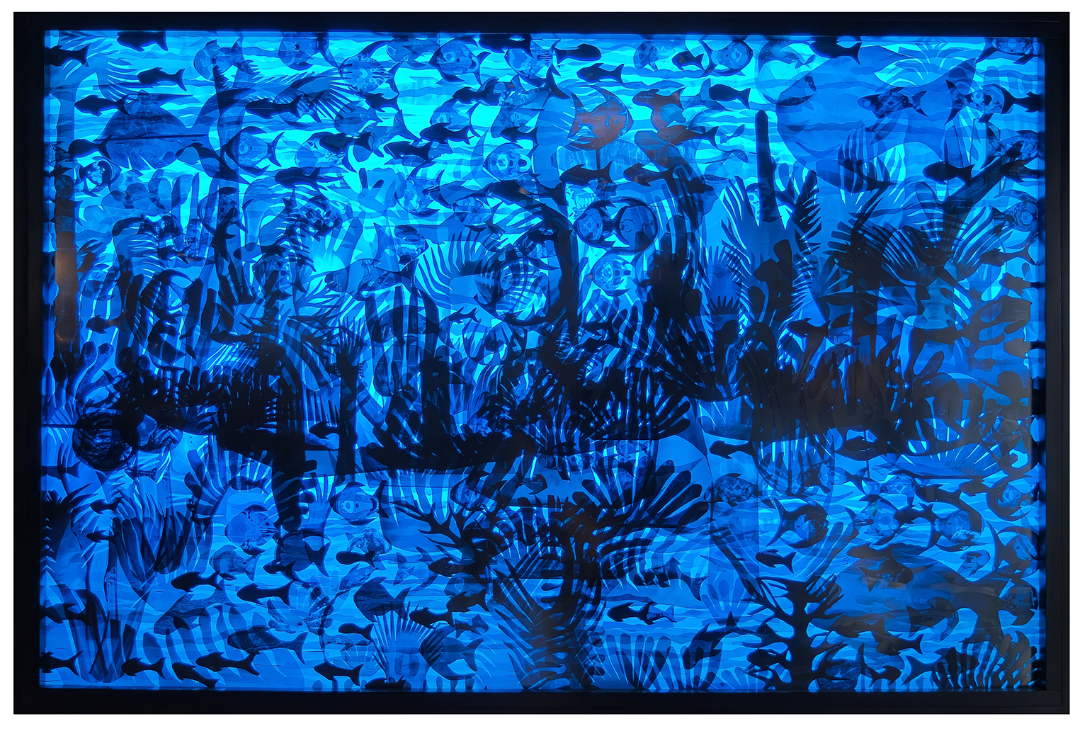 SEASCAPE_X_Rays_and_LED_Light
